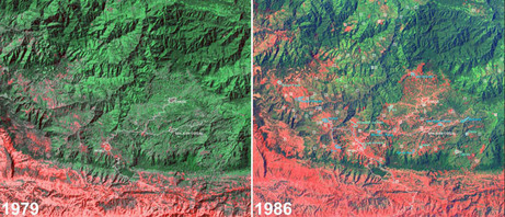 2021_gadanho_image04