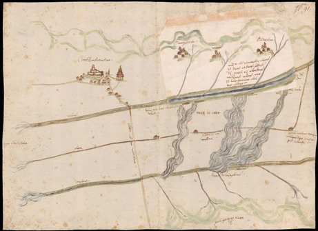 Asf_piante_capitani_fiumi_celone_e_vingone_crop