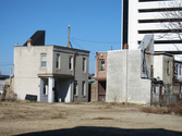 Image_4_monoculture