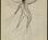 Sfp_6122_0-resize_to__permissions_external_-_3000px_max_dims_300dpi_copy