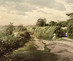 Hylozoic_desires_the_hedge_of_halomancy_2025_film_still_6