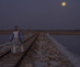 Hylozoic_desires_the_hedge_of_halomancy_2025_film_still_10