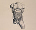 03_vesalius_welcome_collection_crop