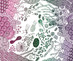 05_picture1