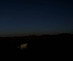 2025_graham_image02