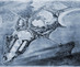 2024_princetonupress_image05