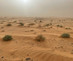 Appraoching_sandstorm_n