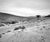Untitled_credit-nazia_parvez_tissardmine_morocco_2025
