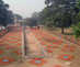 Roshanara_001_1_