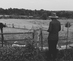 Hackett_drylongso_fellows