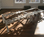 Web_011_bob00186_high-res