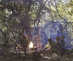 2026_hopkins_image02