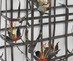 To_unravel_a_wrought_detail_1_brighter