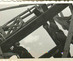 Gpendas_2_scaffold_rotated_jpg