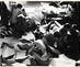 2026_tamalpainstitute_image05