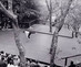 2026_tamalpainstitute_image07