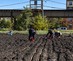 Redefiningredlining_planting_aw_credit_darisjasper