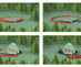 Visual_support_materials
