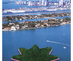 Shift_page-73_star-of-miami_web_y3aryy