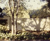 1979_grinstein_iic_slide_00645_01_mc_c_p_web_081326pc