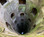 2026-0103_bong_cma_image05_b