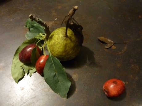 Crabapples_pears