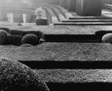 Comazzi_04_gamberaia_1967