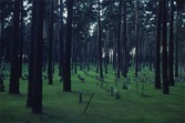 Constant_burial_grounds
