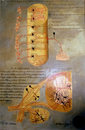 Kwinter_cajal_2