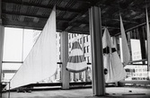 Zacks_sail2