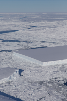 Rectangular_antartica