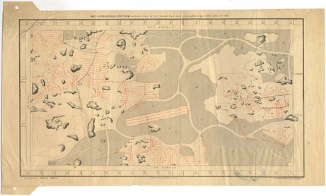 Fig3_graham_seavitt_central_park